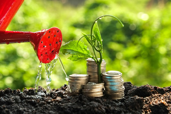 Savings and Investments