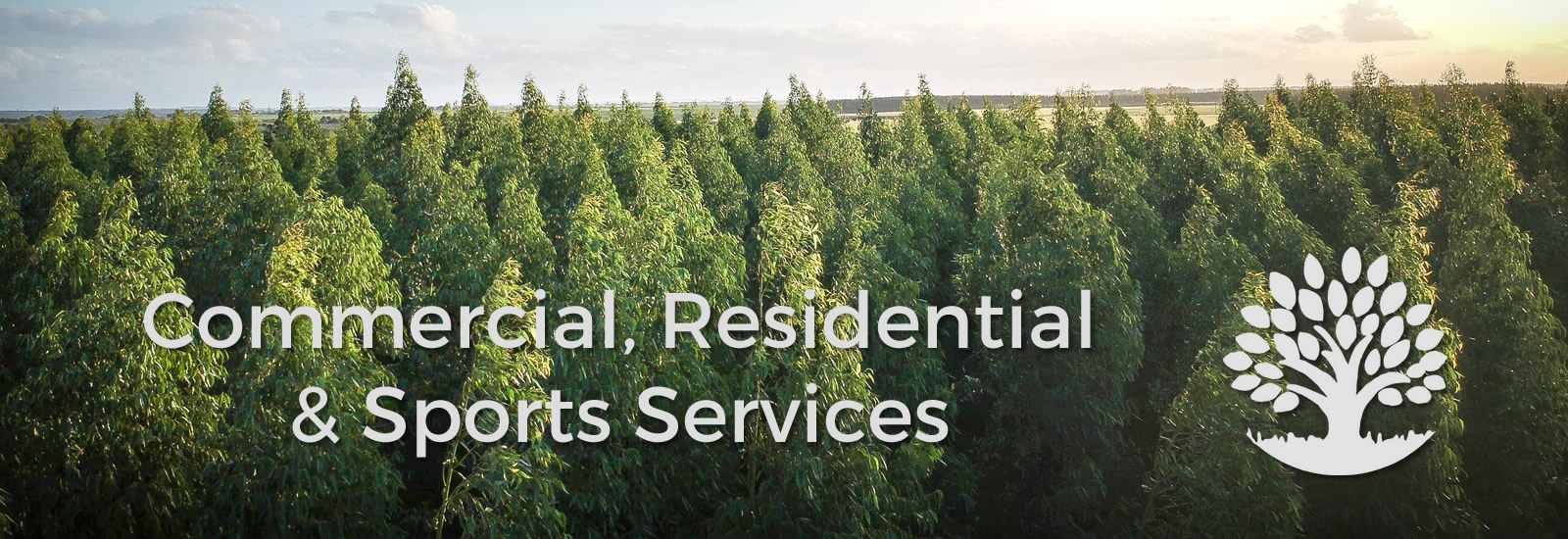 Mondo Verde Tree Injection