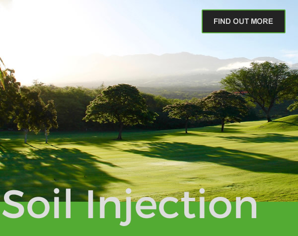 Mondo Verde Soil Injection