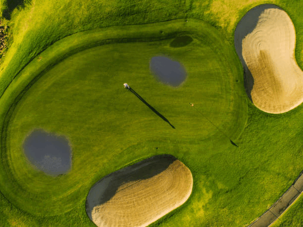 Mondo Verde Soil Injection